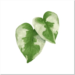 Pothos Njoy Leaf Posters and Art